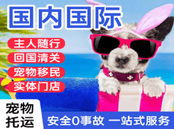 九江庐山航空托运国际宠物托运 【国